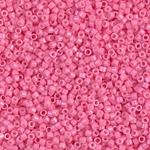DB1371.jpg