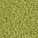 DB0262.jpg