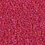 DB0362.jpg
