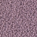 DB0728.jpg