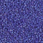DB0880.jpg